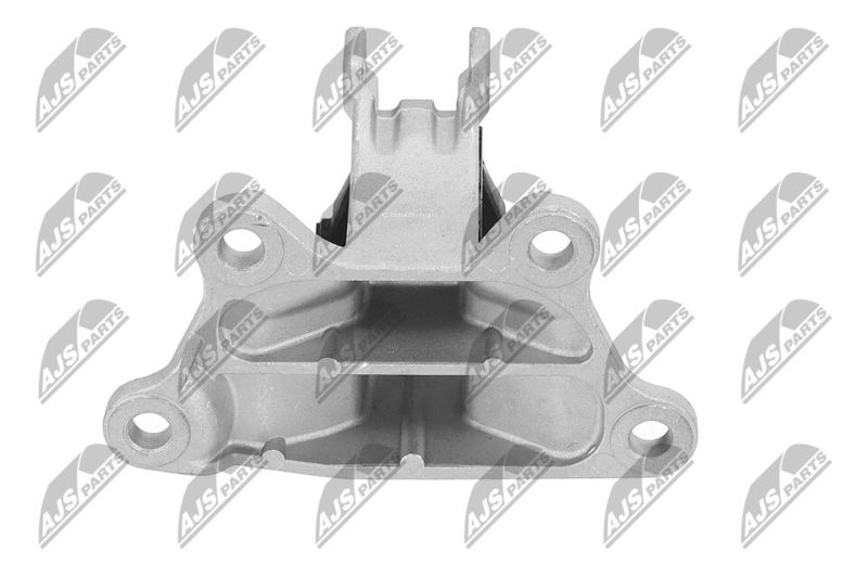 Paigutus, Mootor, NTY ZPS-MS-030