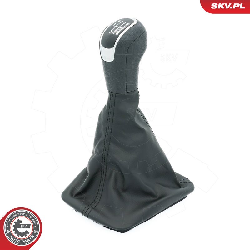 Käigukanginupp, ESEN SKV...