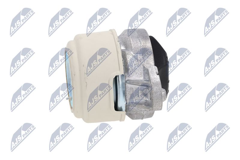 Paigutus, Mootor, NTY ZPS-ME-038