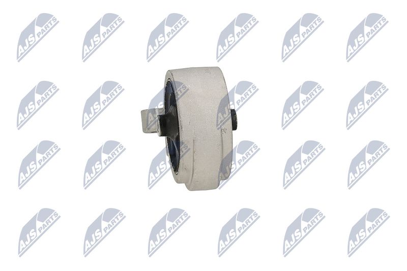 Paigutus, Mootor, NTY ZPS-MS-016