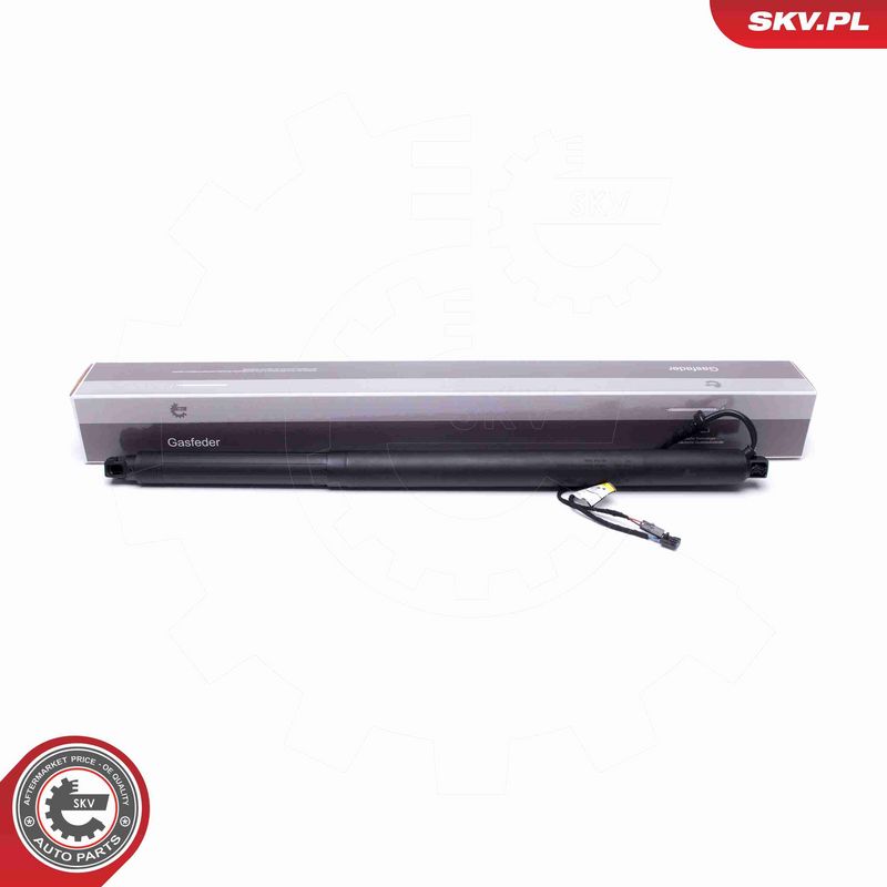 ESEN SKV 52SKV945 Electric Motor, tailgate