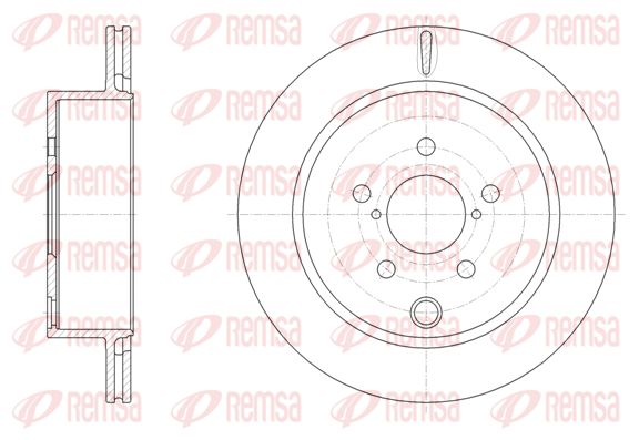 REM62079-10-MODEL.BMP