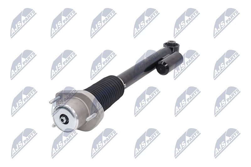 Amort, NTY A-LR-019