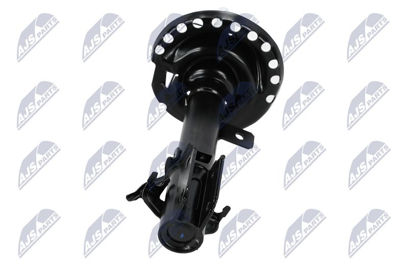 Amort, NTY A-NS-023
