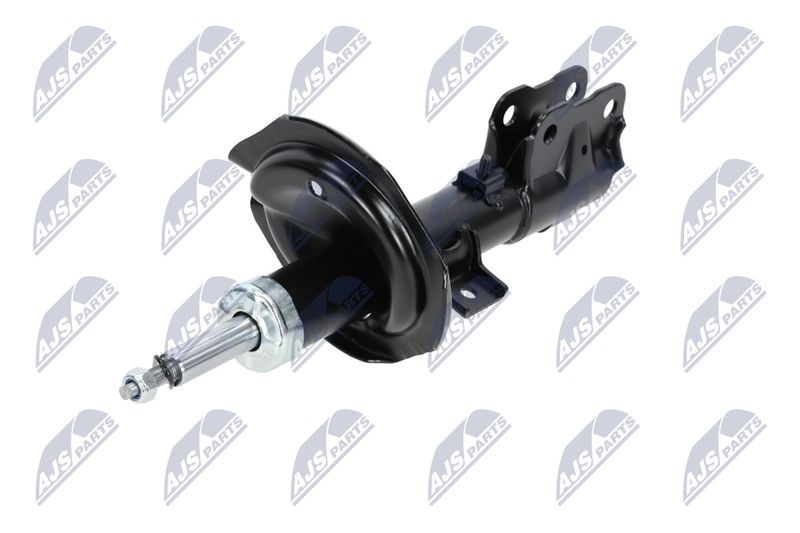 Amort, NTY A-MS-016