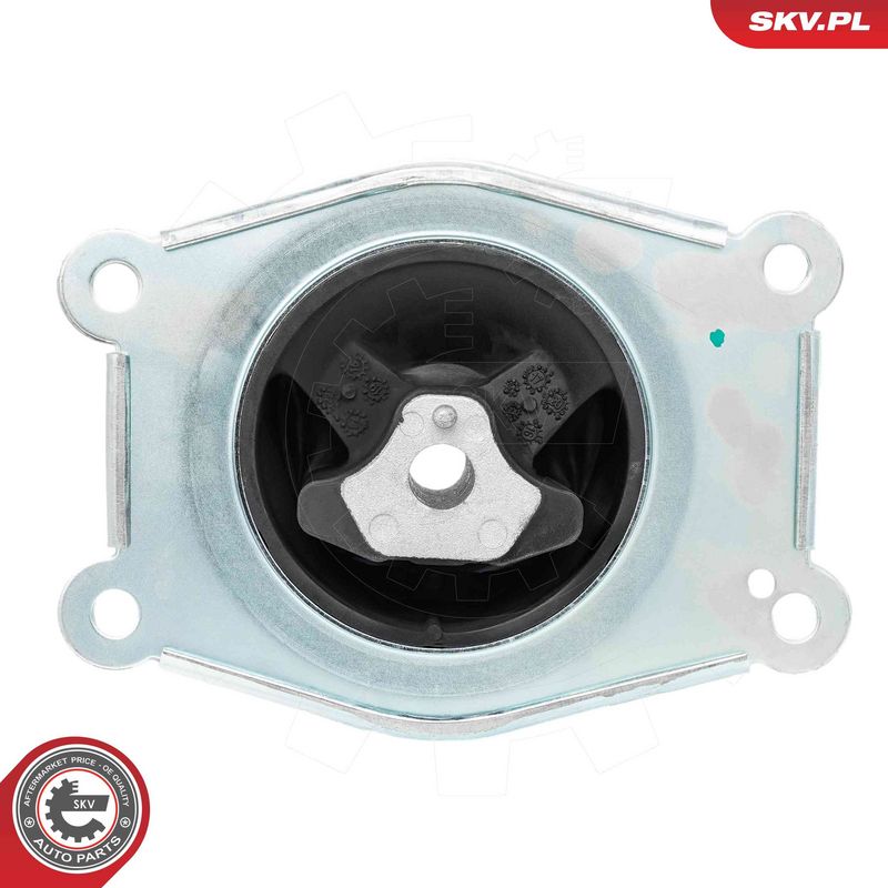 Paigutus, Mootor, ESEN SKV...