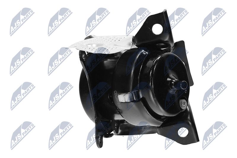 Paigutus, Mootor, NTY ZPS-CH-150