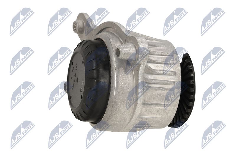 Paigutus, Mootor, NTY ZPS-ME-048