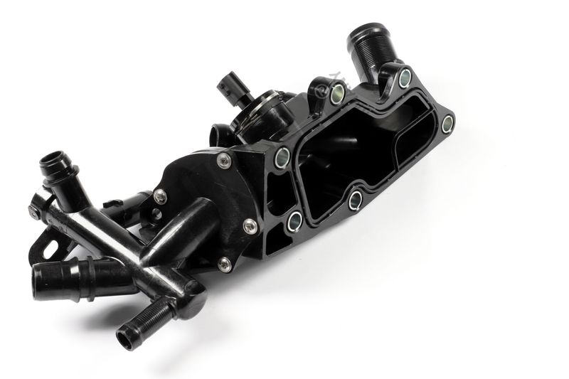 TM1091 (1).JPG