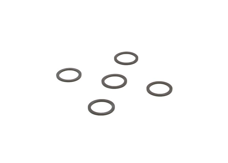 Garnitura 2 440 109 005 BOSCH
