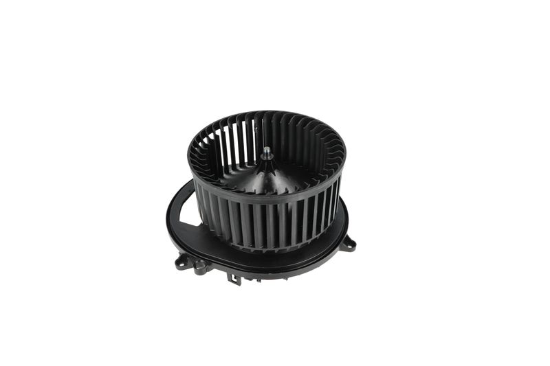 Salongipuhur, NRF 34236