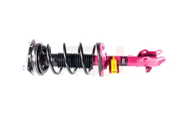 Vedruamort, GH GH-352298C01