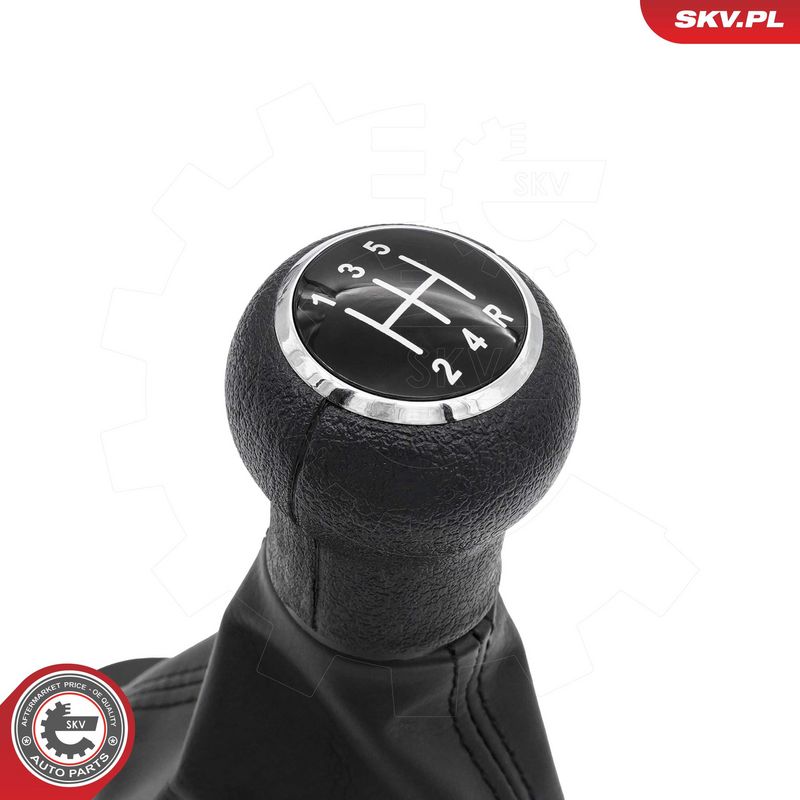 Käigukanginupp, ESEN SKV...