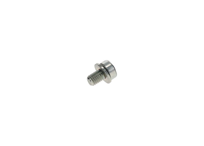 BOSCH F002D13663 Screw