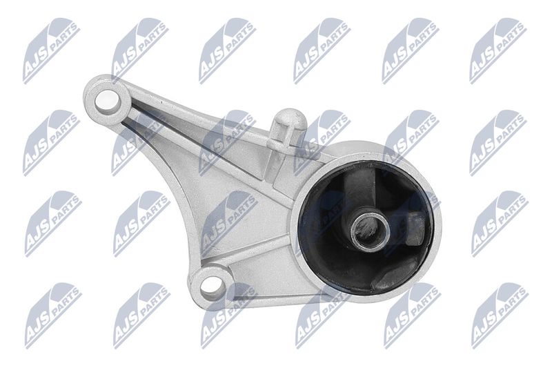 Paigutus, Mootor, NTY ZPS-PL-015