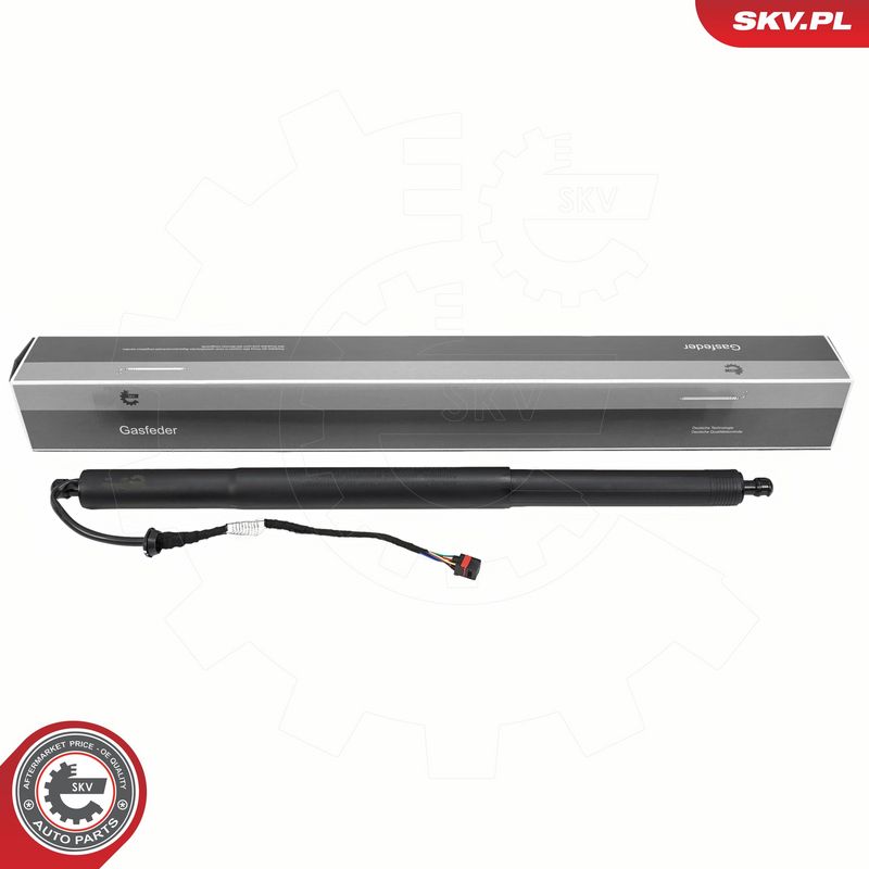 Elektrimootor, tagaluuk, ESEN SKV 52SKV989