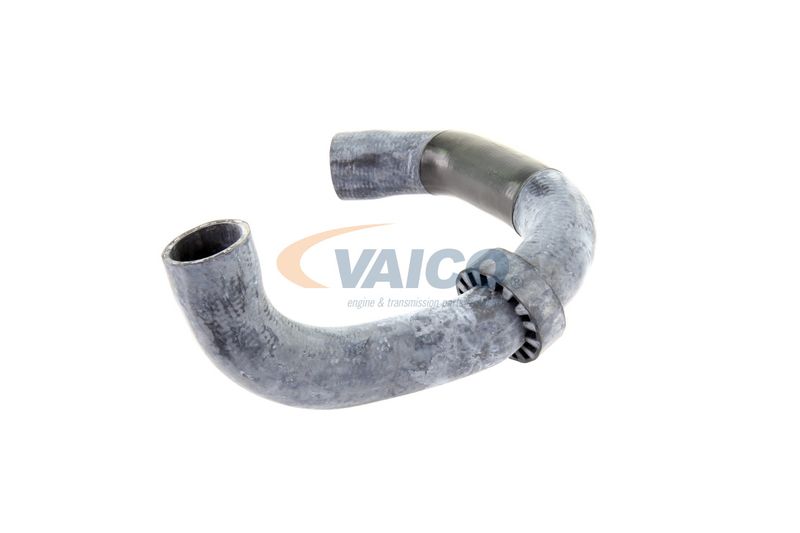 VAICO V30-2220 Radiator Hose