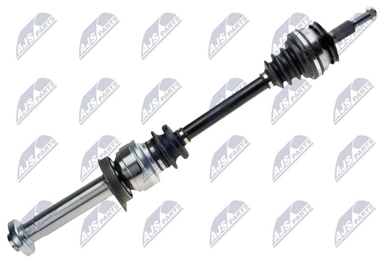 npw-vw-121_1-wm.JPG