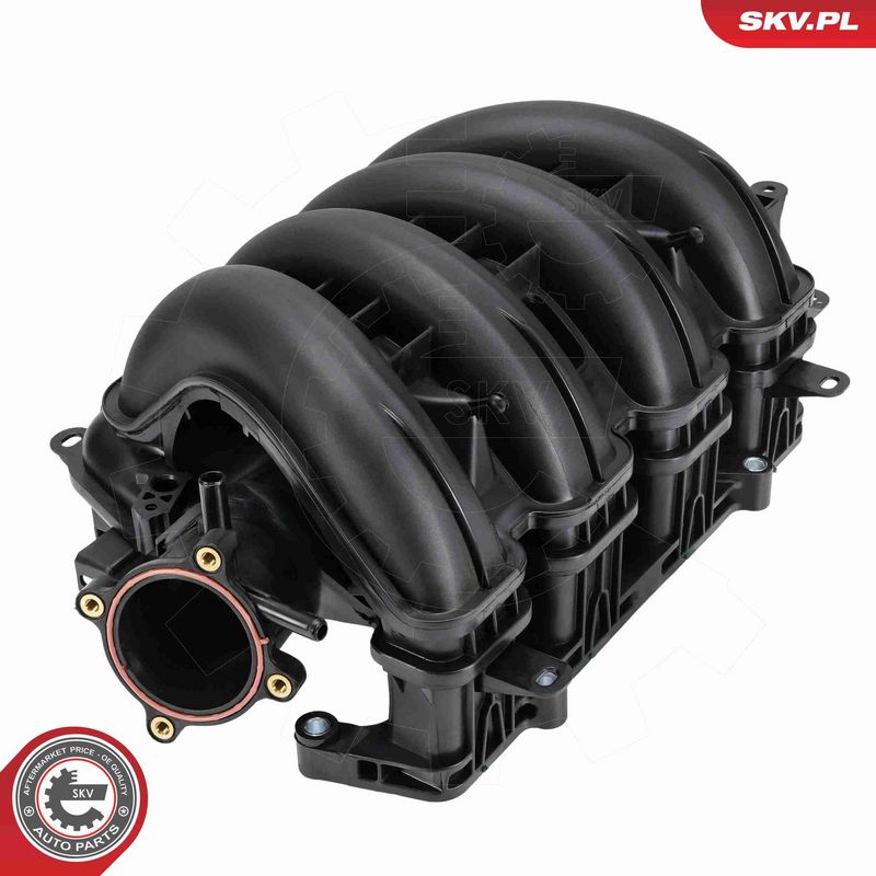 ESEN SKV 49SKV103 Intake Manifold Module