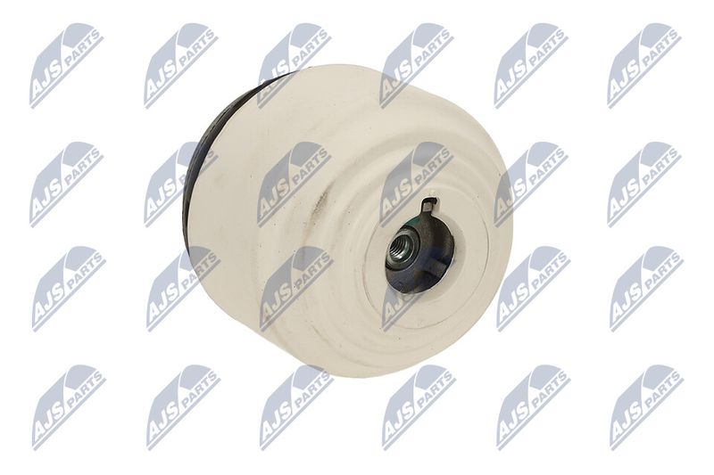 Paigutus, Mootor, NTY ZPS-ME-090