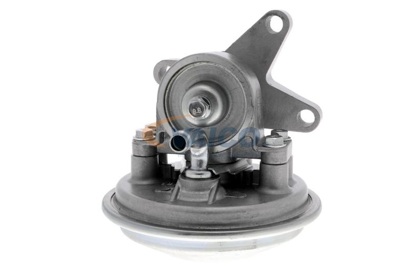 VAICO V25-1908 Mounting, engine
