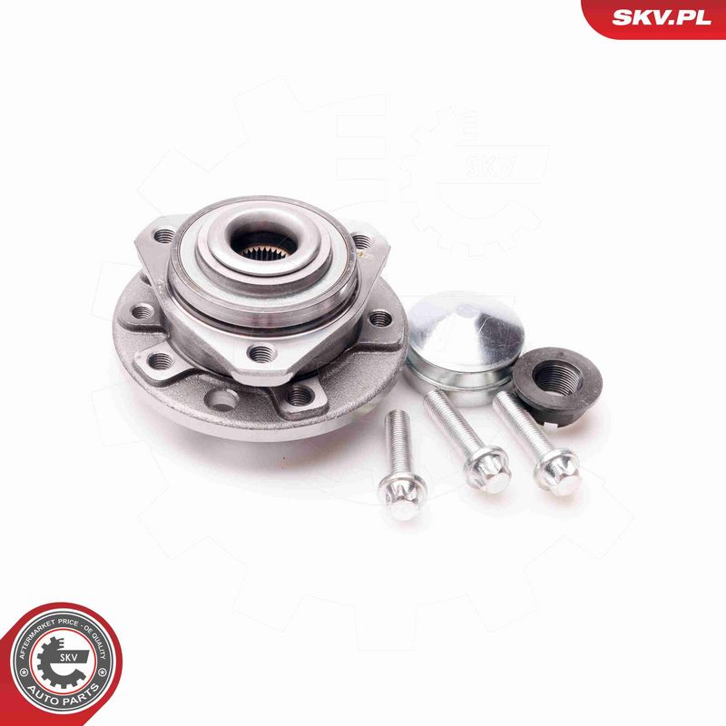 ESEN SKV 29SKV121 Wheel Bearing Kit