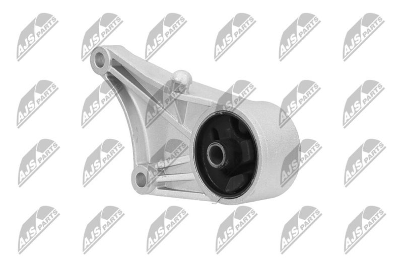 Paigutus, Mootor, NTY ZPS-PL-012
