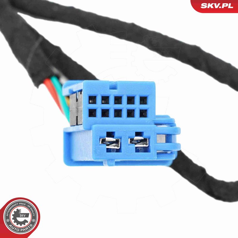 ESEN SKV 52SKV271 Electric Motor, tailgate