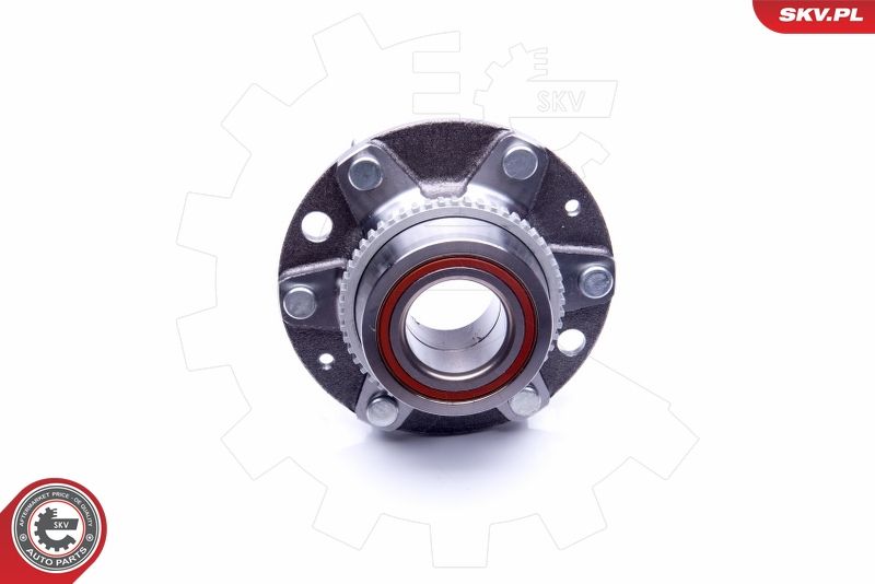 ESEN SKV 29SKV186 Wheel Bearing Kit