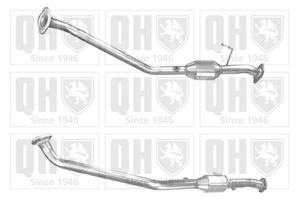 QH_QCAT91771H.JPG