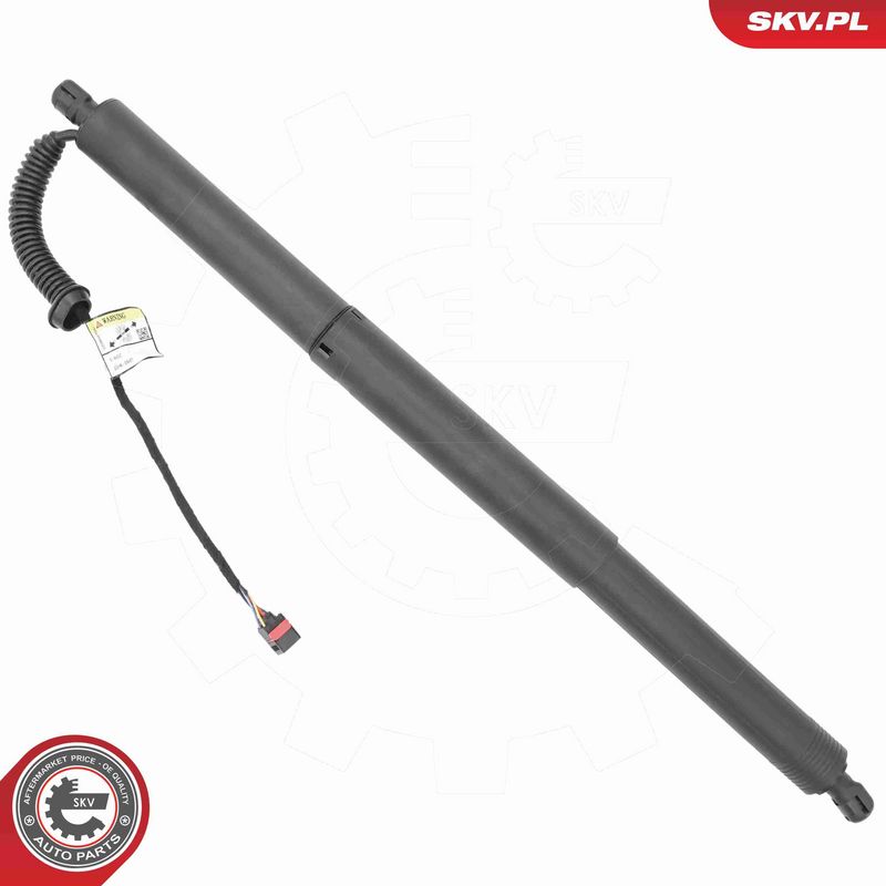 ESEN SKV 52SKV195 Electric Motor, tailgate