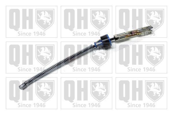 QH_BC4203.JPG
