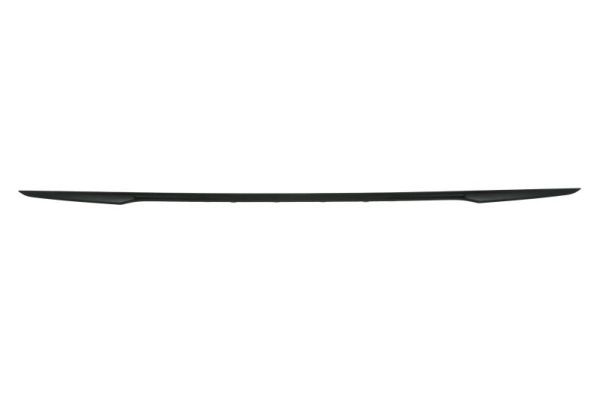 BLIC 5513-00-0072971LP Trim/Protection Strip, bumper