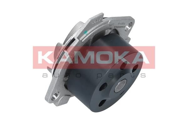 Автозапчасть KAMOKA T0012