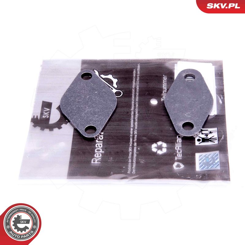 Remondikomplekt, EGR-klapp, ESEN SKV 14SKV529