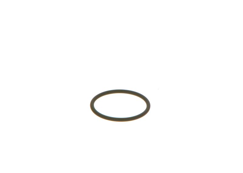 BOSCH F 00V C38 002 Seal Ring