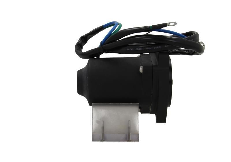 BV PSH 350.568.000.200 Electric Motor