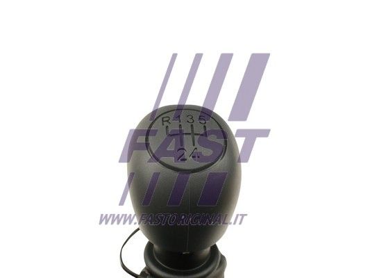 FT73303_2_1.JPG