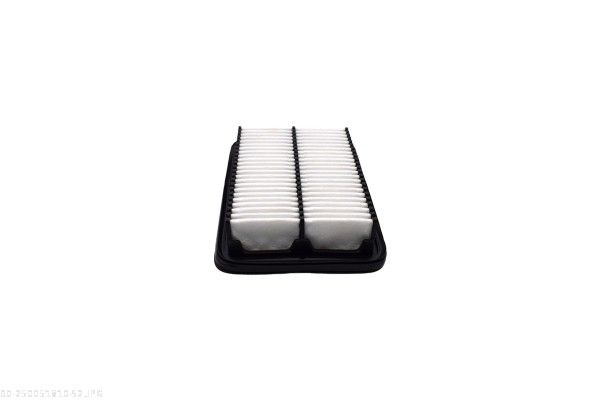 AUTOMEGA 250051810 Air Filter