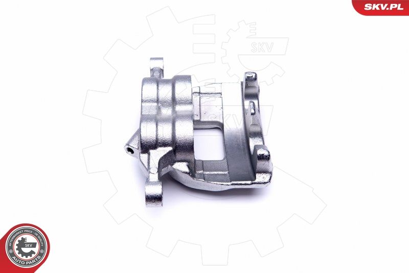 ESEN SKV 50SKV011 Brake Caliper