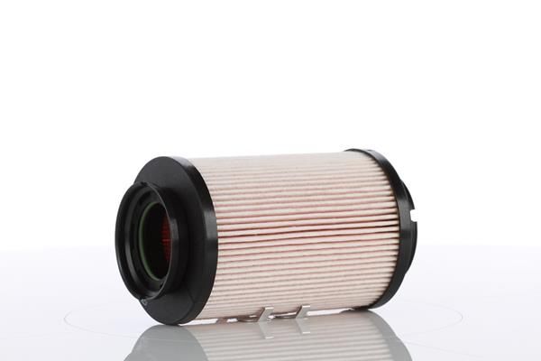 WP1560X.JPG