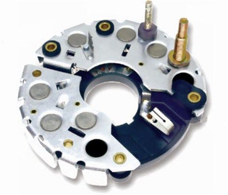 DDF_AMP1713_WR.JPG