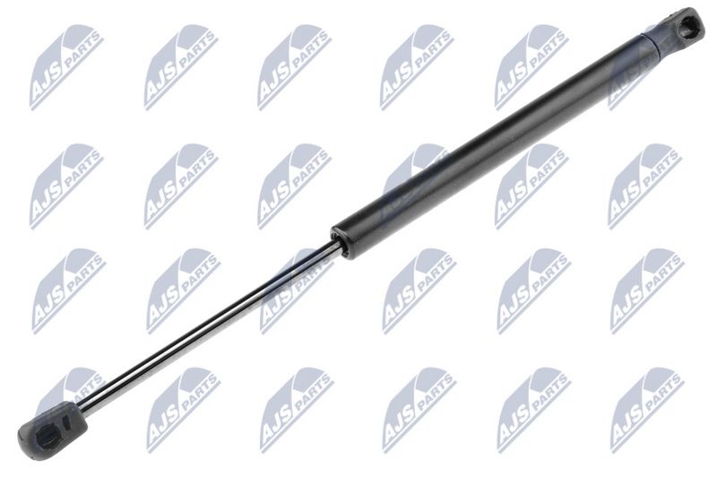 NTY AE-PE-002 Gas Spring, boot/cargo area