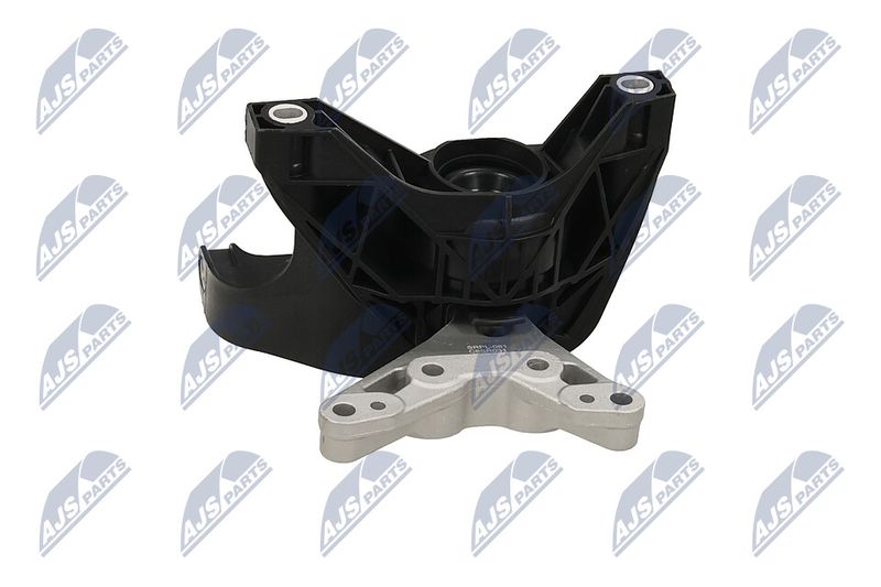 Paigutus, Mootor, NTY ZPS-PL-081