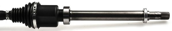 GKND12669C.JPG