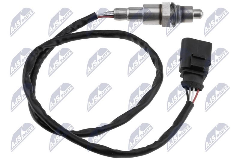 ESL-VW-015_1-WM.JPG