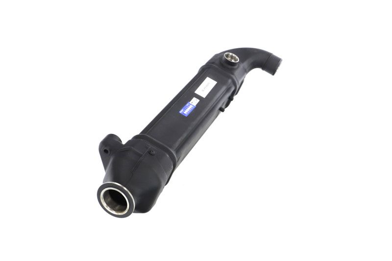 REMANTE 010-001-000025R EGR Module
