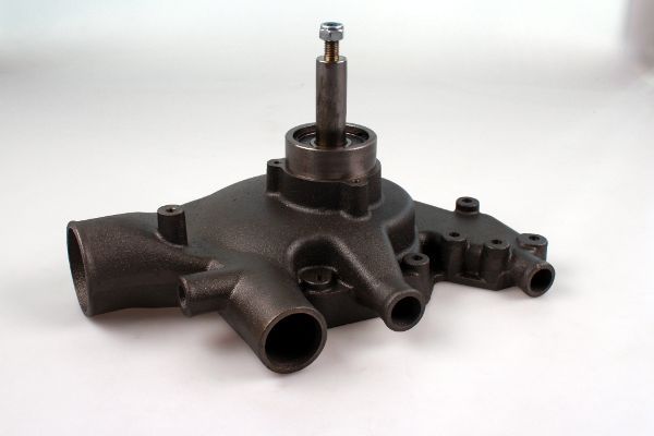 P9933.JPG