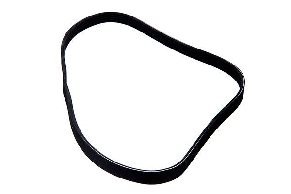 STELLOX 05-01008-SX V-ribbed Belt