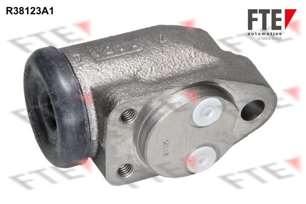 R38123A1.JPG